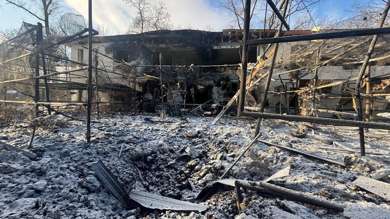 КАБ по екопарку на Харківщині: поранені леви, загиблі птахи